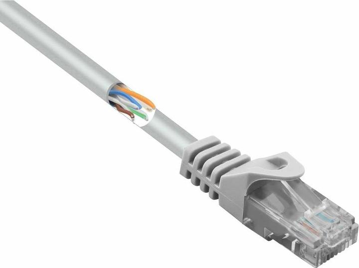 Actual product image Renkforce RF-5043978 RJ45 network cable, patch cable CAT 5e U/UTP 15.00 cm Grey m (U/UTP, CAT5e, 0.15 m)