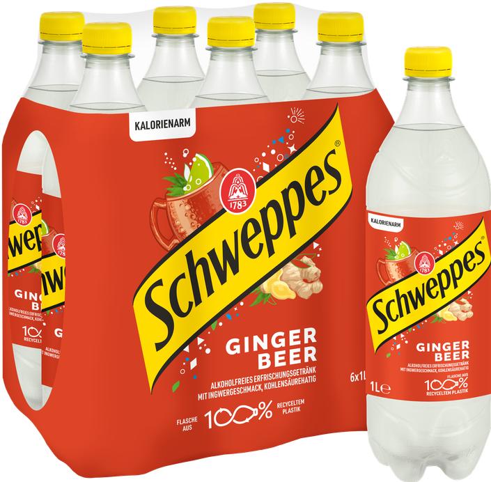 Produktbild Schweppes Ginger Beer (6 x 100 cl)