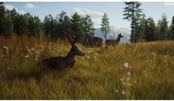 Image du produit THQ Way of the Hunter - Chasse Saison 1 (Xbox Series X, EN)