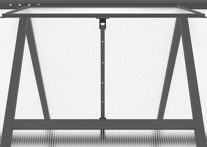 Actual product image vidaXL Gewächshaus