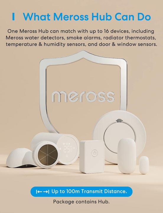 Immagine prodotto Meross MSH300