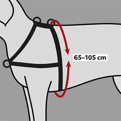 Actual product image Trixie Lead n Walk training harness L-XL (L, XL, Dog, General)