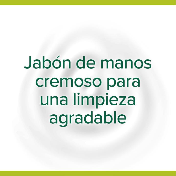 Produktbild Palmolive Liquid Soap Milk&Honey 300g (Flüssigseife, 300 ml)