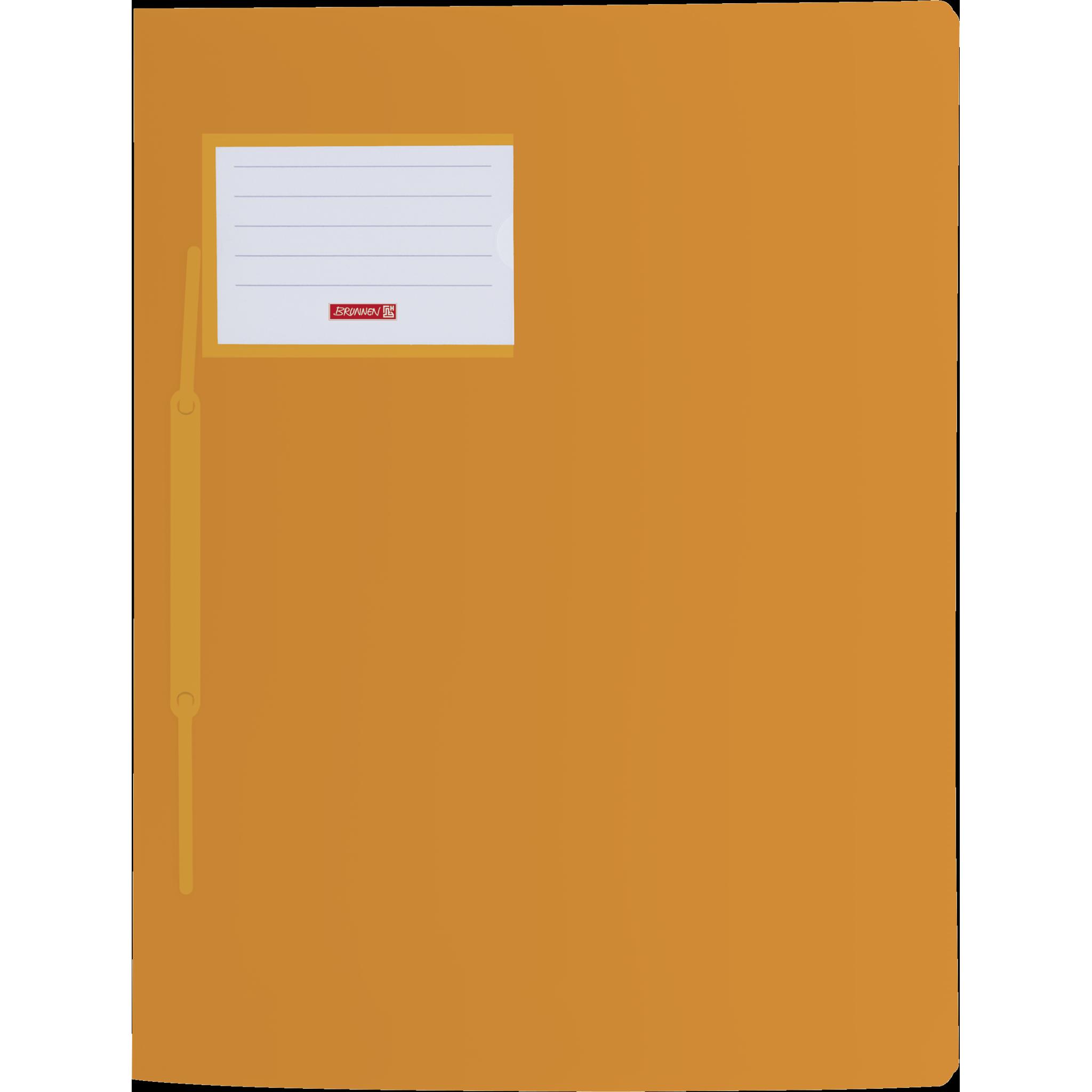 Brunnen, Mappe, Schnellhefter FACT! Kunststoff orange transluzent DIN A4 (A4, 1 x)