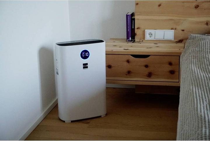 Actual product image Bold 10648 (43 m²)