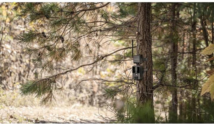 Actual product image Spypoint Cell