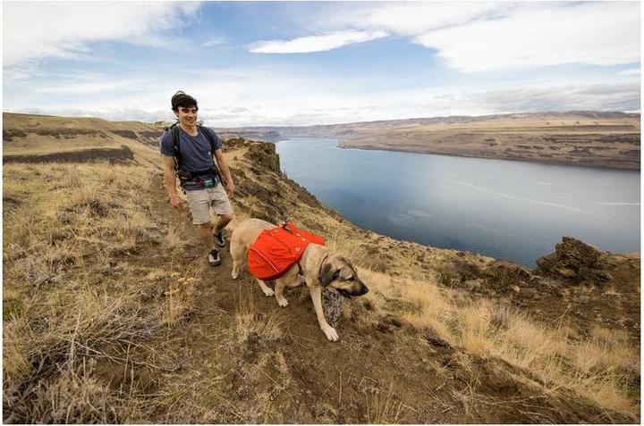 Produktbild Ruffwear Palisades Pack (S, Hund)