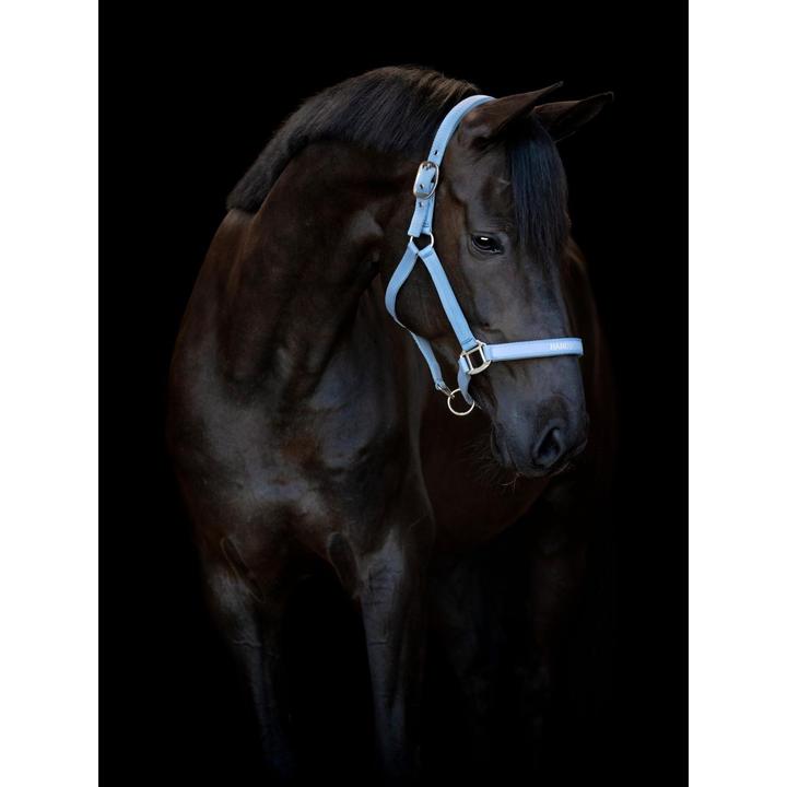 Produktbild Horse Guard Malva halter