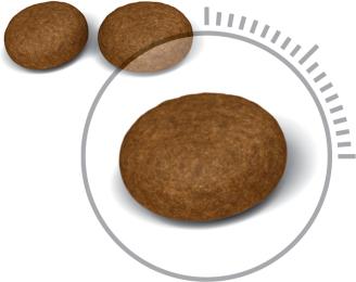 Produktbild Royal Canin Hair & Skin 33 (Adult, 1 Stk., 2000 g)