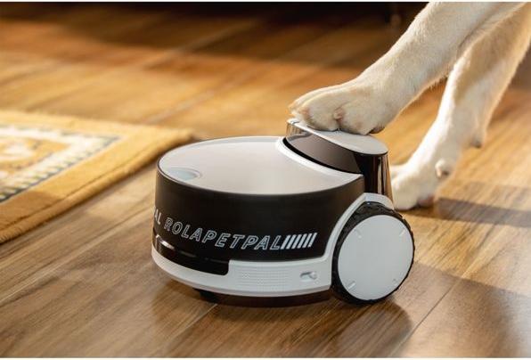 Produktbild Enabot ROLA PetPal (2880 x 1620 Pixels)