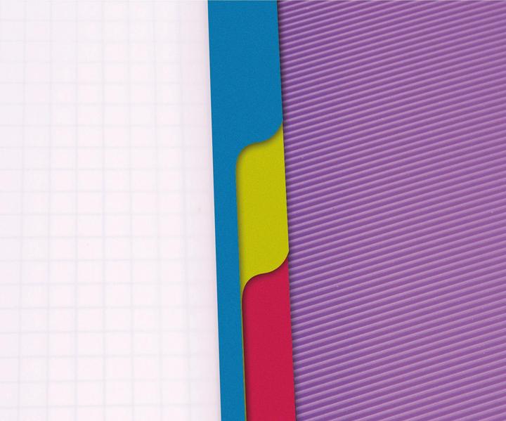 Actual product image Clairefontaine Linicolor Evolutive Book (A4+, Checked, Hardcover)