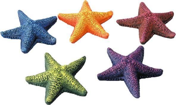 Europet Seestern (Décoration, autres éléments)