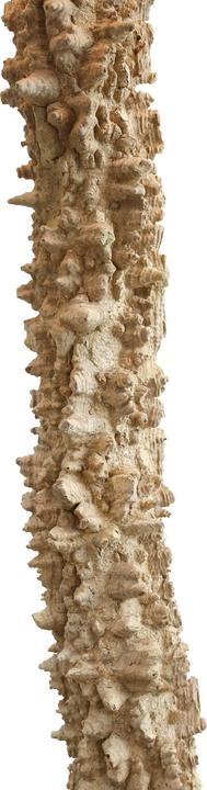 Produktbild SalesFever Leuchten (E27)