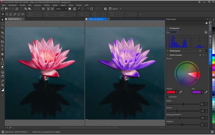 Image du produit Corel Draw Graphics Suite Agnostic Box, Subscr.,1yr, WIN, ML (1 Utilisateur, 12 mois)