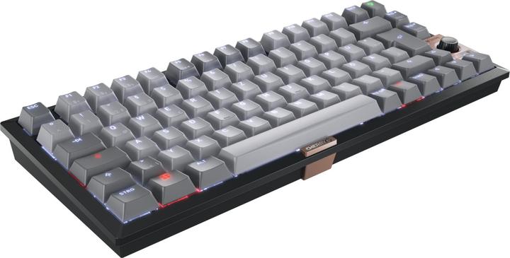 Actual product image CHERRY TAS Keyboard wireless MX 2A brown (DE, Wireless, Cable)