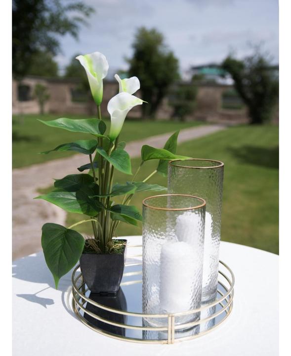 Actual product image Europalms Calla mini (43 cm)