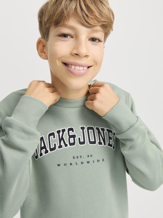 Actual product image Jack & Jones Jjecaleb Varsity Sweat Crew Neck Sn Jnr (128)