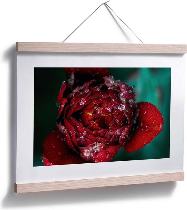 Actual product image Trenddeko Peony after the rain (40 x 30 cm)