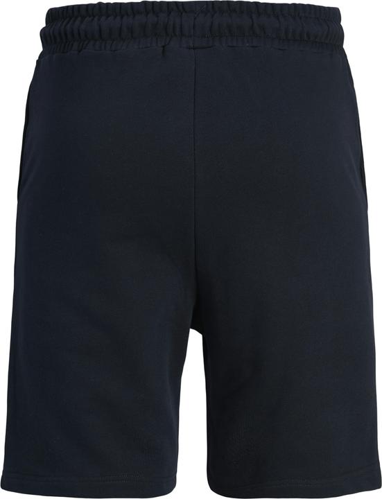 Produktbild Jack & Jones Plus Size Regular Fit Regular Fit Shorts Regular Fit Shorts