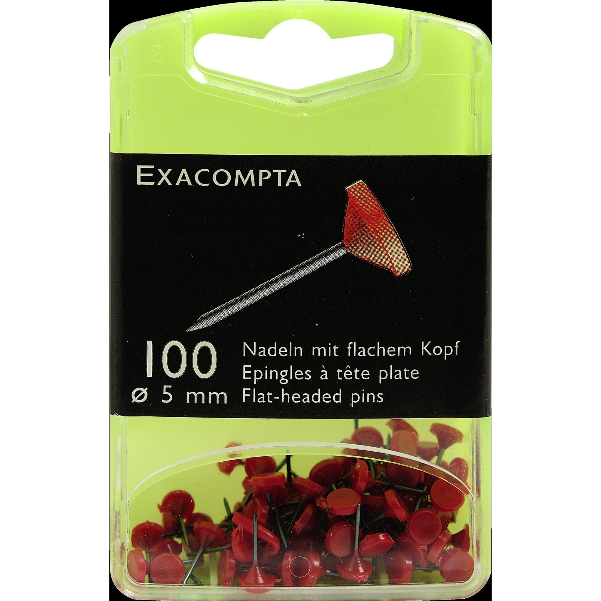Exacompta, Büroklammer, Markiernadeln (100 x)