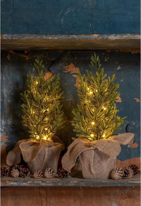 Produktbild STT Nordic Tree