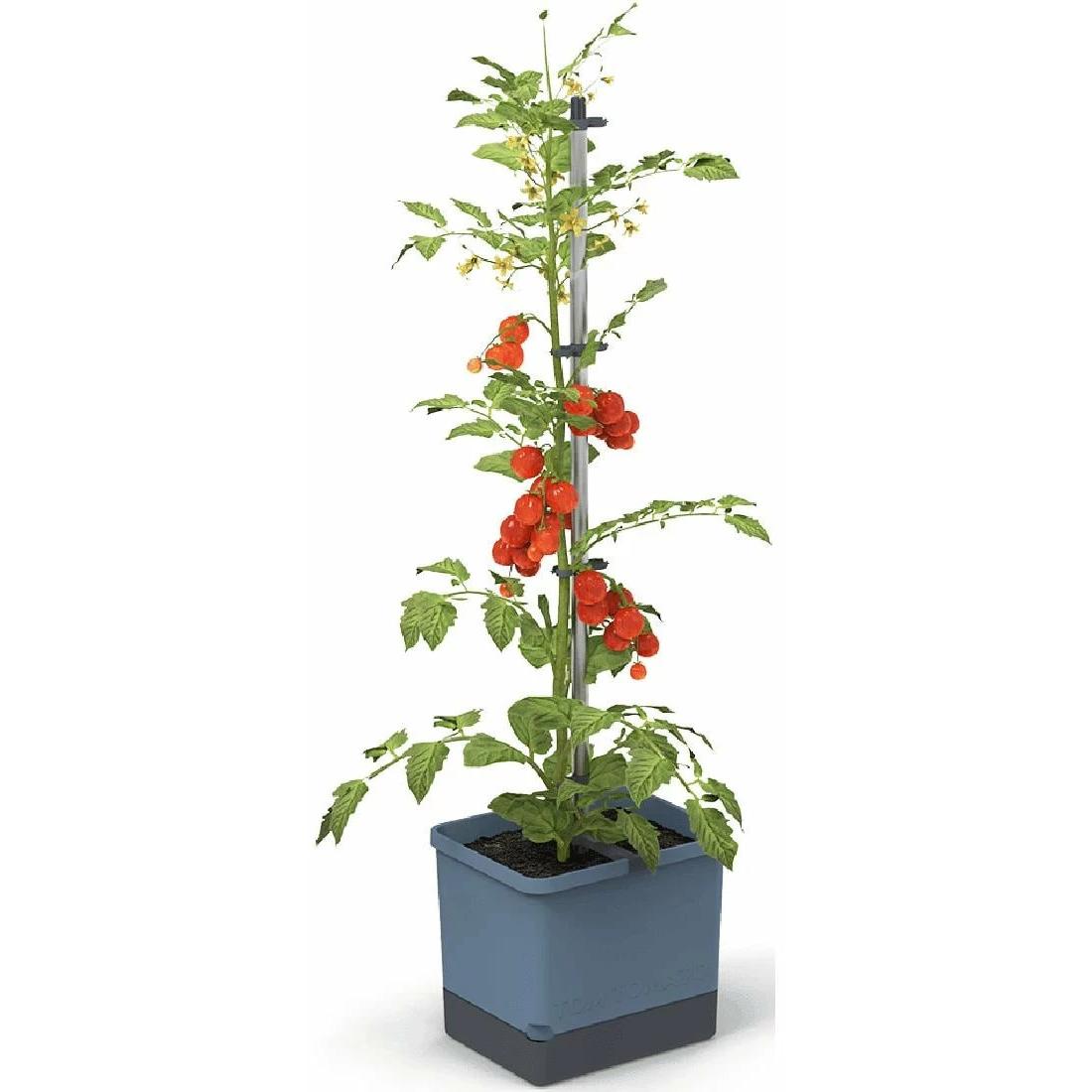 Gusta Garden, Blumentopf, Tom Tomato (28 cm)