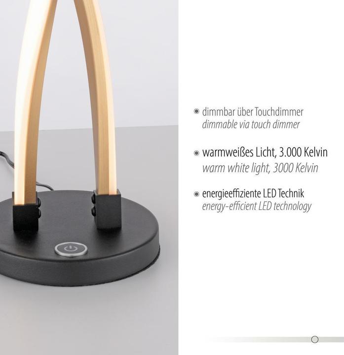 Produktbild Paul Neuhaus Polina (835 lm)