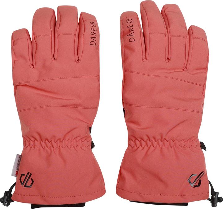 Produktbild Dare2b Skihandschuhe Diversity II (M)