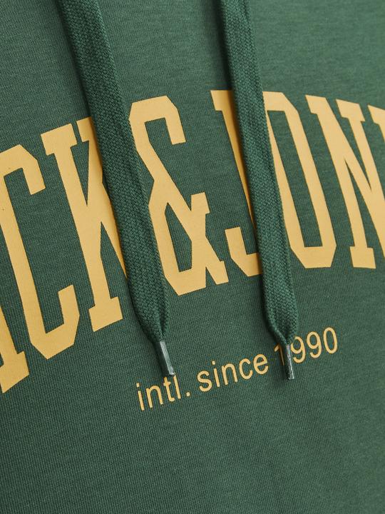 Produktbild Jack & Jones Hoodie (L)