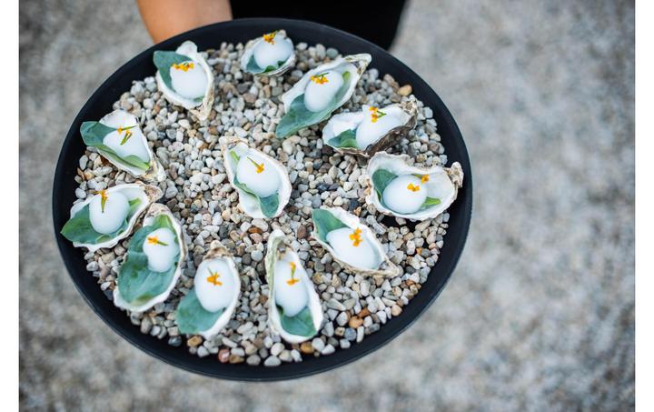 Actual product image Hermit Dutch Coastal Gin 0.5 l (1 x 50 cl)