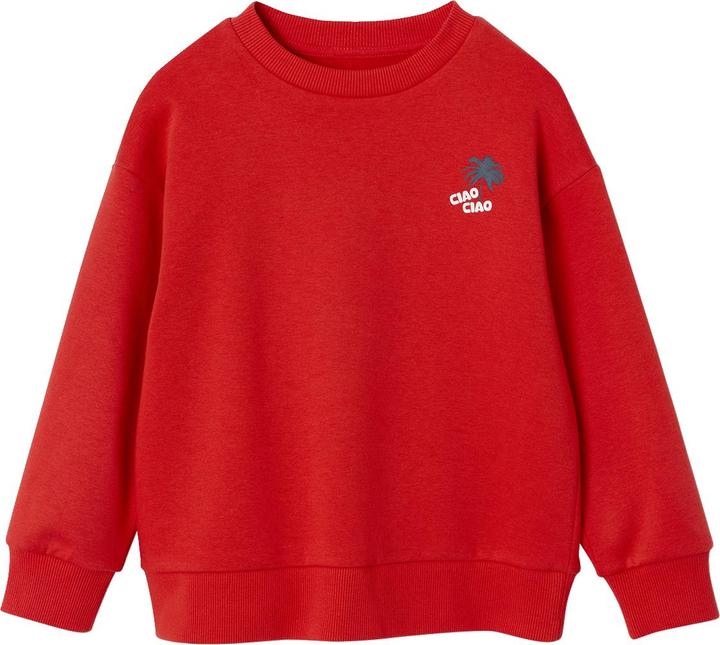 Produktbild Vertbaudet Jungen Sweatshirt mit Urlaubsmotiv hinten, Recycling-Polyester (158, 164)