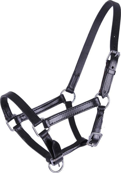 Produktbild Qhp Chico