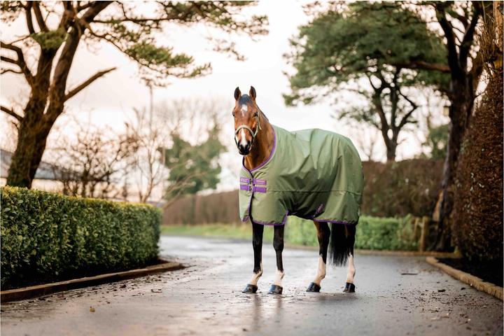Produktbild Horseware Weidedecke Amigo Hero Ripstop 50g