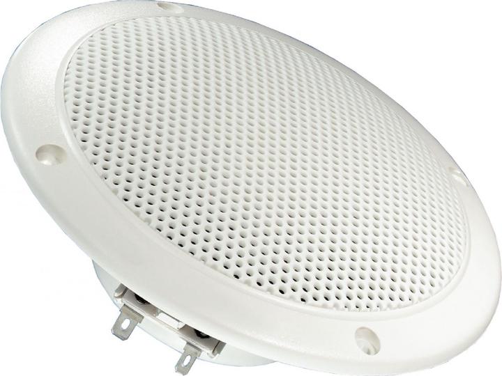 Actual product image Visaton Full range loudspeaker FR 13 WP