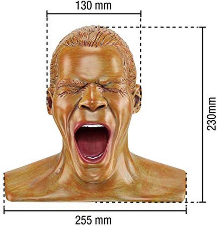 Actual product image Oehlbach Headphone stand Scream