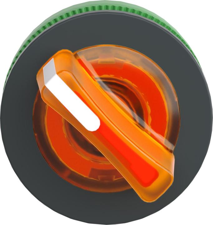 Actual product image Schneider Electric Flush Orange Ill Selector Sw 2p R To L