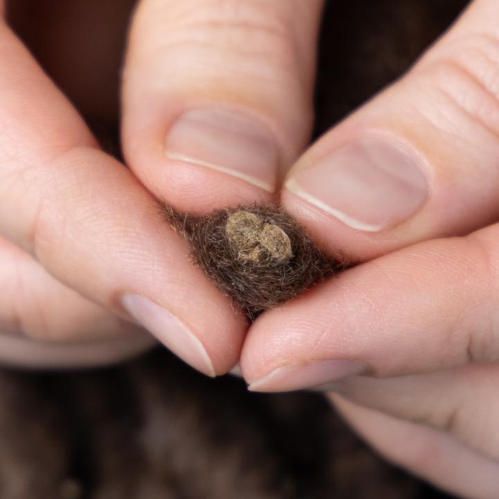 Image du produit Viana Wollkordel Dekoband für kreative Projekte