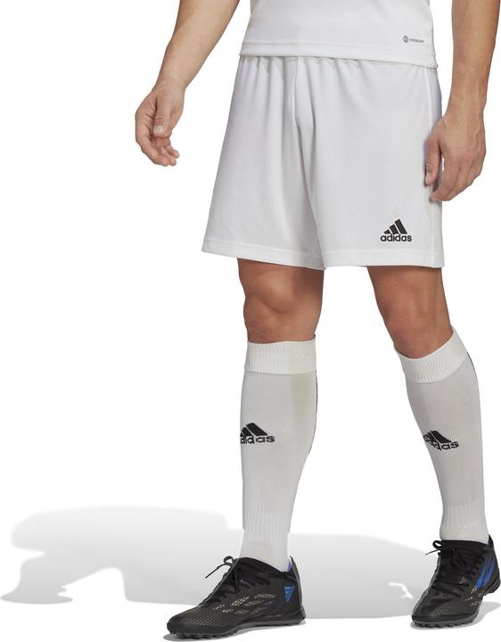 Image du produit adidas Entrada 22 Shorts (XS)