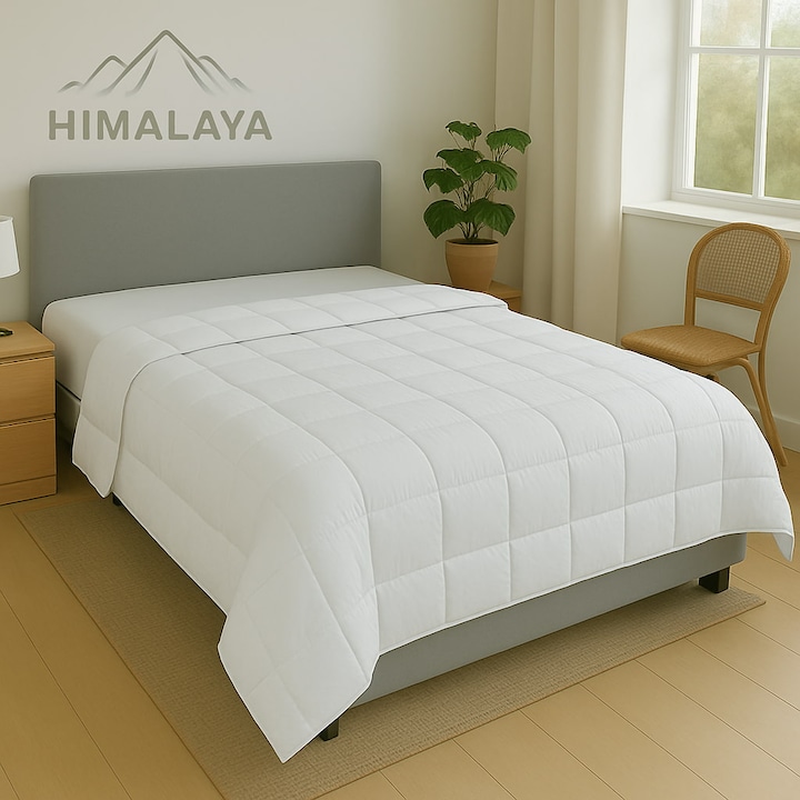 Immagine prodotto Traumschlaf Himalaya (400 g, 240 x 220 cm)