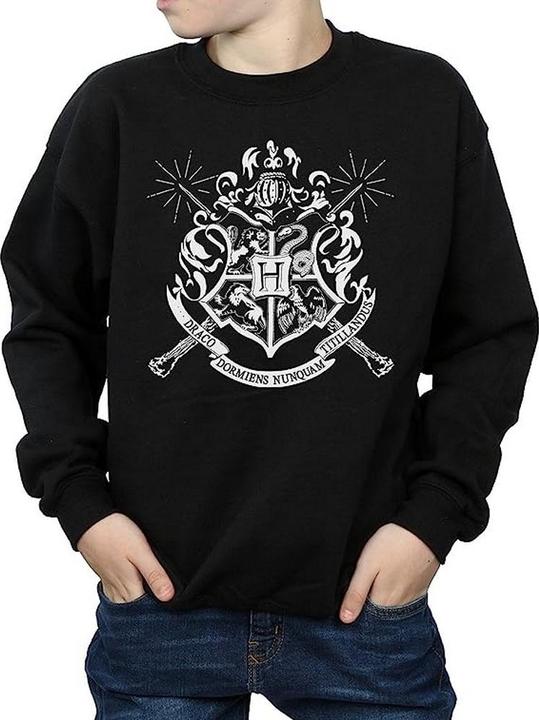 Produktbild Jungen Hogwarts Wappen Zauberstäbe Sweatshirt (140, 146)