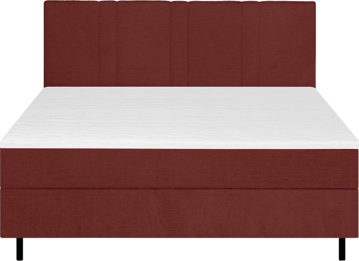 Image du produit Mid.You Paola (120 x 200 cm)