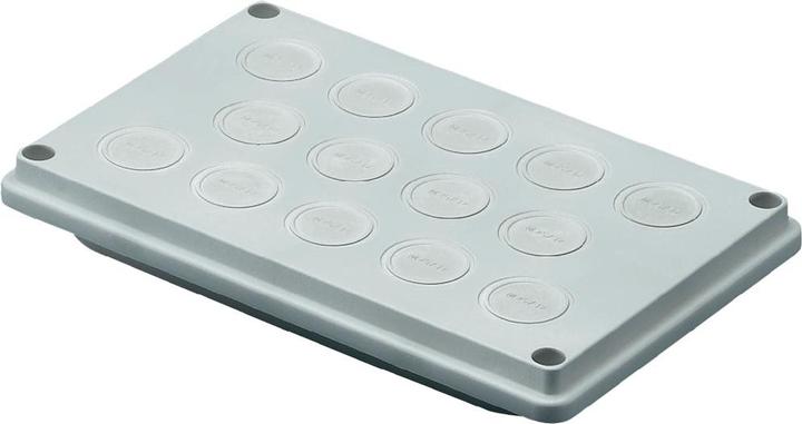 Image du produit Rittal Plaque passe-câbles Isoli (Trou de câble, 16 cm)