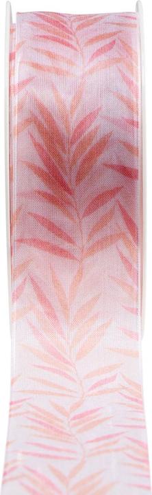 Image du produit Goldina Ruban cadeau Jungle Feeling avec bord indéformable, 40 millimètres x 15 mètres, abricot (1x)