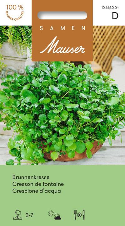 Produktbild Samen Mauser Brunnenkresse (Kräutersamen)