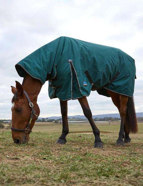 Weatherbeeta Comfitec Classic Combo 220g