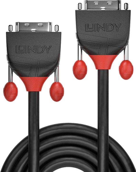 Produktbild Lindy Dvi — Dvi (0.50 m, DVI)