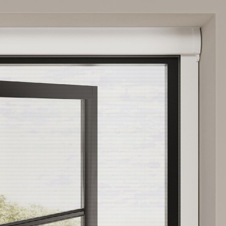 Produktbild Cocoon Home Concepts Cocoon Insektenschutzrollo mit Kassette weiss - 80 x 150 (80 x 150 cm)