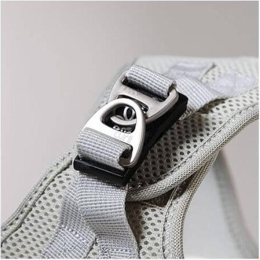 Actual product image Curli Tableware (3XS, Dog, General)