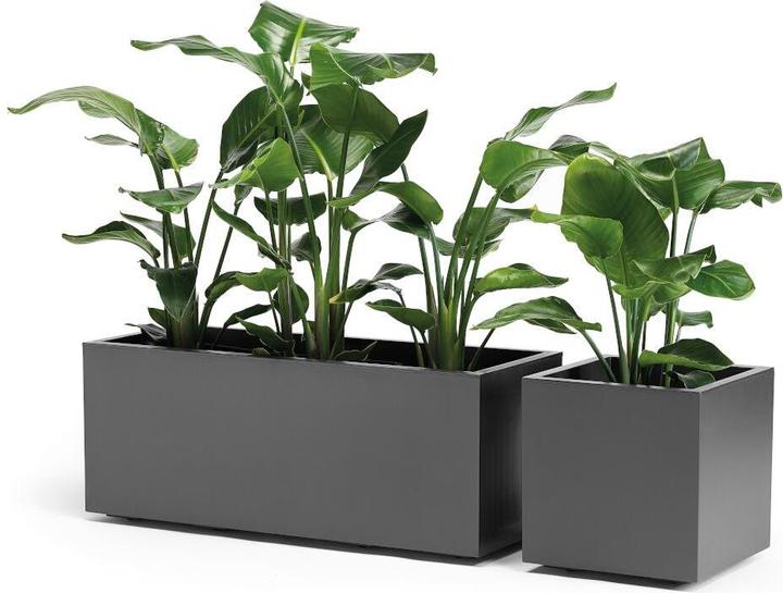 Produktbild Euro3plast Pflanzkübel (39.50 cm)