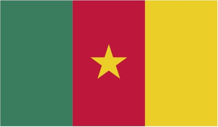 Produktbild Bügelbilder Bügelbild Kamerun Flagge